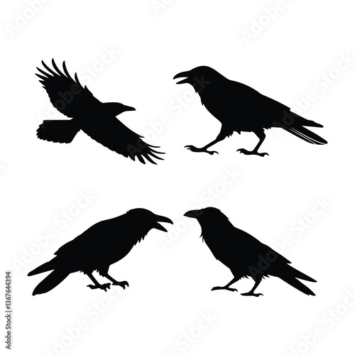 Crow walking standing eating flying animal silhouette vector art style illustration black on white background