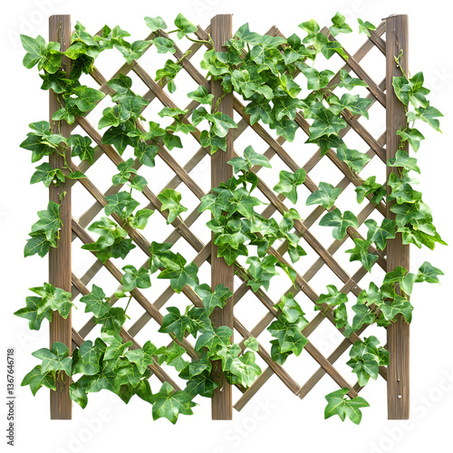 Expandable faux ivy trellis panel, green leaves on wooden lattice, shown partially expanded, isolated on transparent background, versatile privacy solution photo.