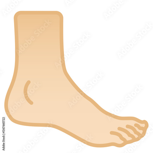 Foot
