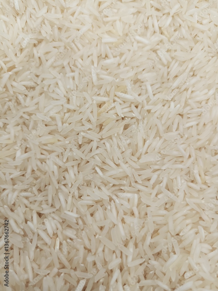 rice background texture. Close up of rice. rice background texture. Close up of rice.