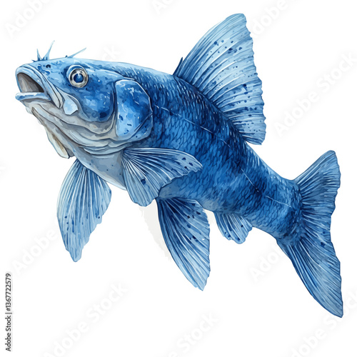 A watercolor painting of a catfish with barbels, isolated on a white background. Catfish with barbels vector.

