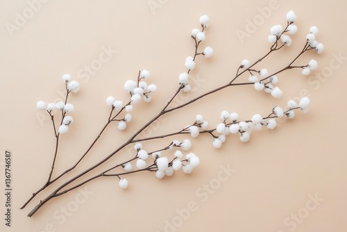 delicate winter botanical study of snowcovered spirea branches against soft pastel background minimalist composition