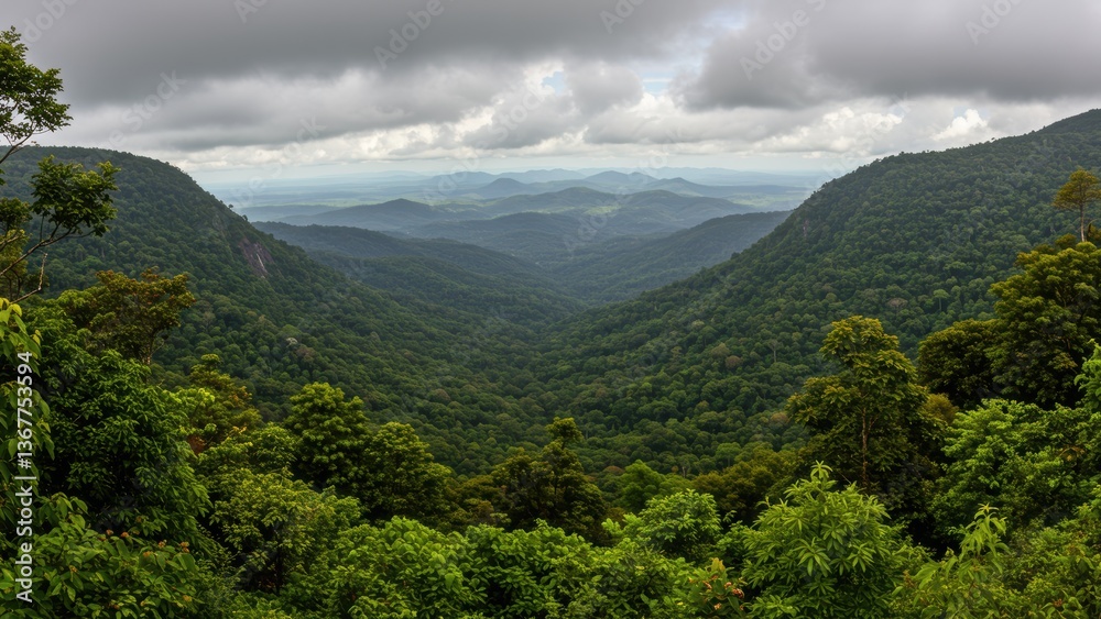 Fototapeta premium A lush valley with a dense forest viewed from a high point.