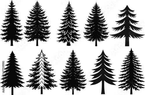 Black Silhouette Pine Trees Vector Set