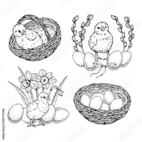 Set of hand drawn vector Easter illustrations with chickens, eggs, baskets, blooming narcissus flowers and pussy willow. Monochrome ink line art collection on black background.