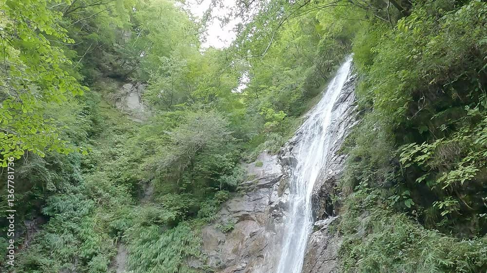 岩肌を流れる水 岩肌を流れる水
