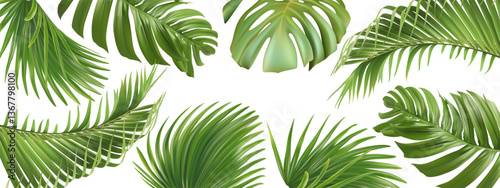 Green botanical leaves, palm trees, monstera on white background. Vector horizontal banner with tropical foliage