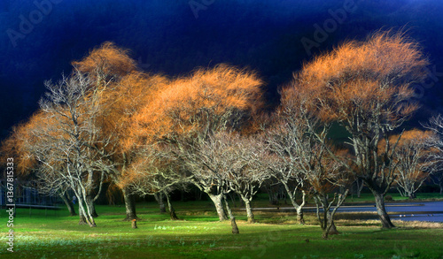 Trees and Lagoa Azul, Sete Cidades, Sao Miguel, Azores Islands, Atlantic, Portugal