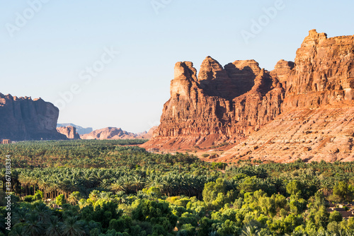 Palm grove in the oasis of AlUla, Medina Province