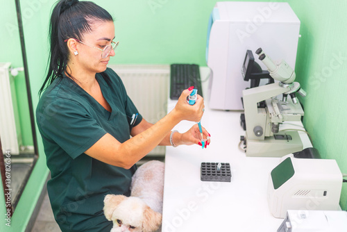 Wallpaper Mural Veterinarian preparing blood test for dog in clinic Torontodigital.ca