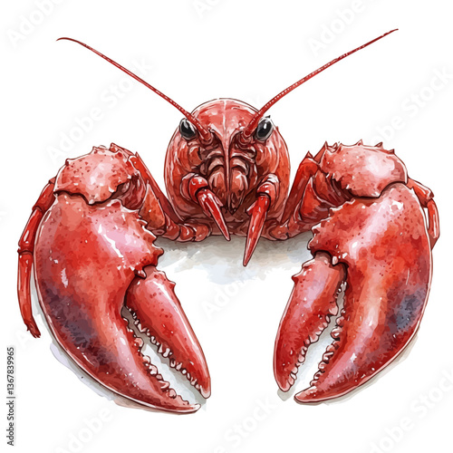A watercolor painting of a lobster, isolated on a white background. Lobster vector.


