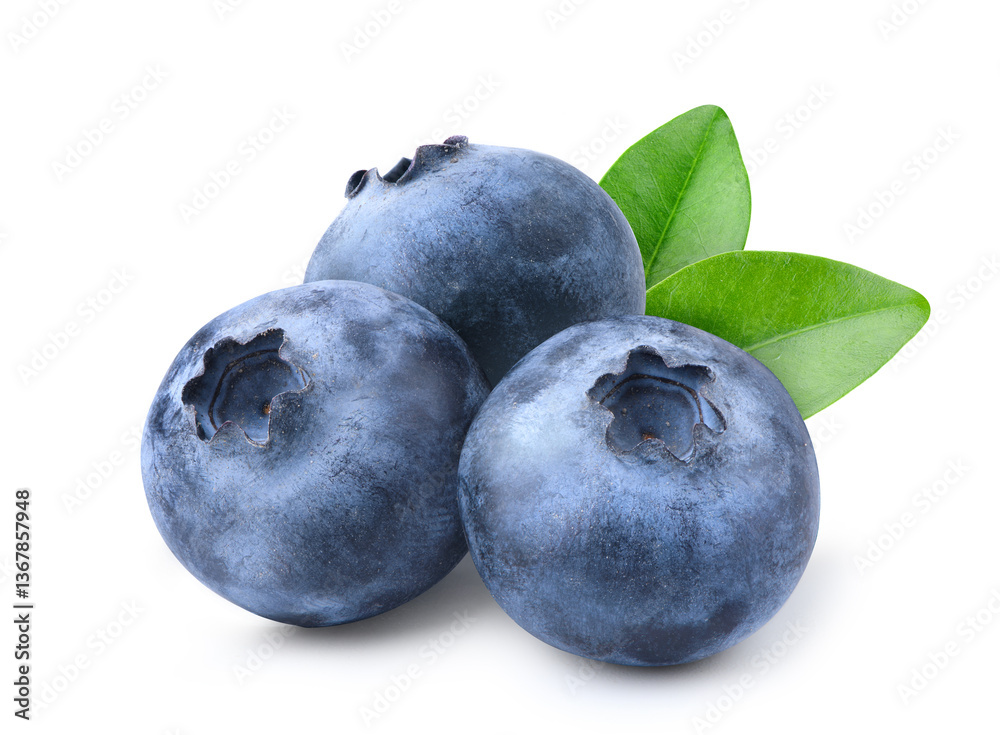 Fototapeta premium Blueberries isolated on white background. Clipping path.
