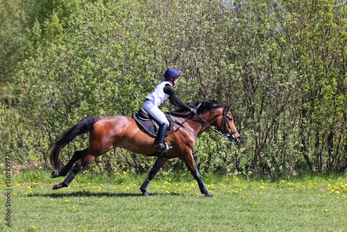 Equestrian woman ride horseback in summer meadow
