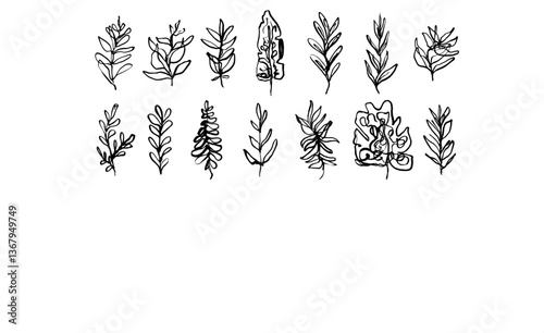 Set of line art vector black ink hand drawn monstera, fern leaves and herbs. Artistic delicate linear drawing floral elements for pattern and tattoo design, greeting card decoration, logo, banner