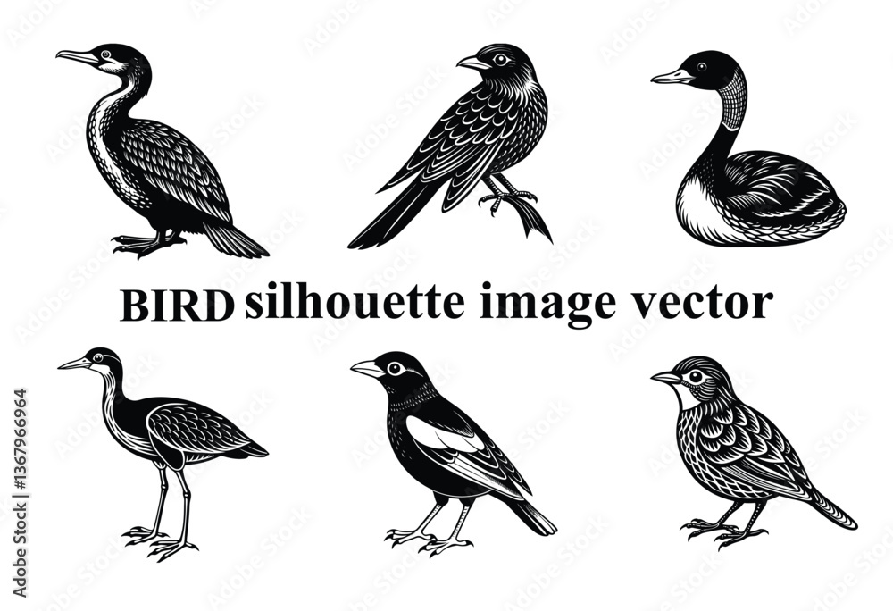 Graceful Wings in the Shadows: A Stunning Bird Silhouette,Silent Flight: The Beauty of a Bird in Silhouette Form Graceful Wings in the Shadows: A Stunning Bird Silhouette,Silent Flight: The Beauty of a Bird in Silhouette Form