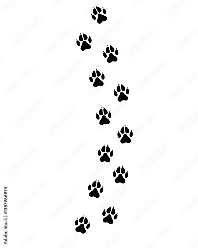 wolf paw prints track vector illustration wolf paw prints track vector illustration