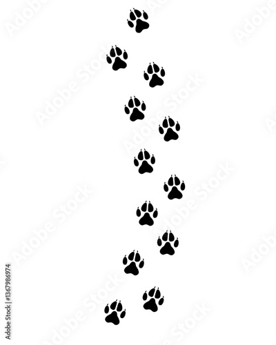 wolf paw prints track vector illustration
