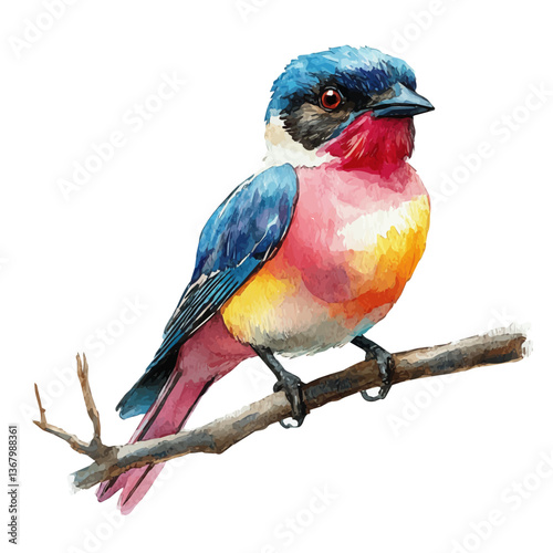 A watercolor of a trogon, isolated on a white background. Trogon vector.

