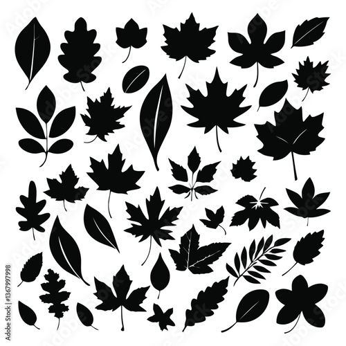 A black and white vector illustration of scattered fall leaves with detailed edges and natural shapes on a white backgroun