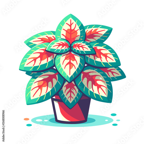 Vector illustration of turquoise-red Coleus plant in red pot. Perfect for gardening blogs and house plant care guides.