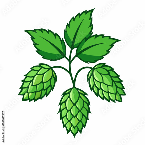 Hop shoots isolated of a white