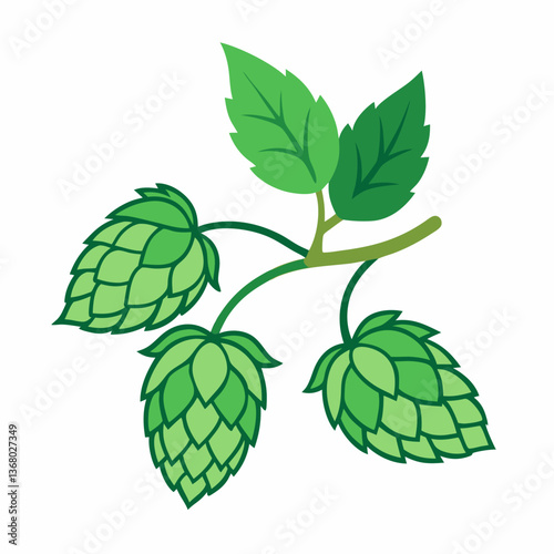 Hop shoots isolated of a white