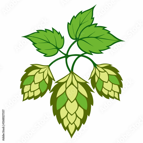 Hop shoots isolated of a white