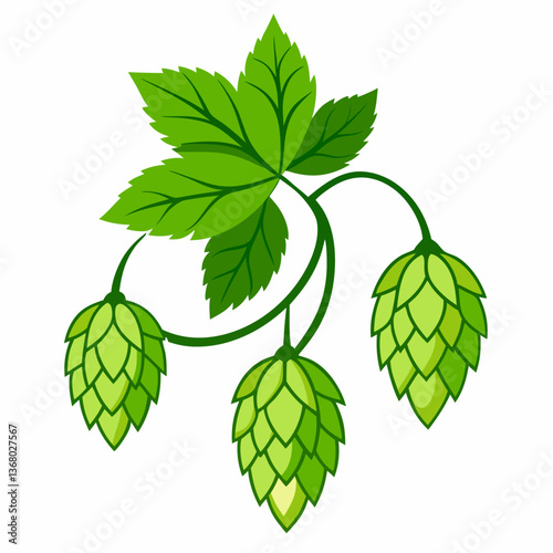Hop shoots isolated of a white