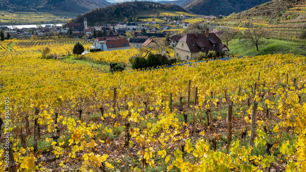 Weinberge in der Wachau - Niederösterreich