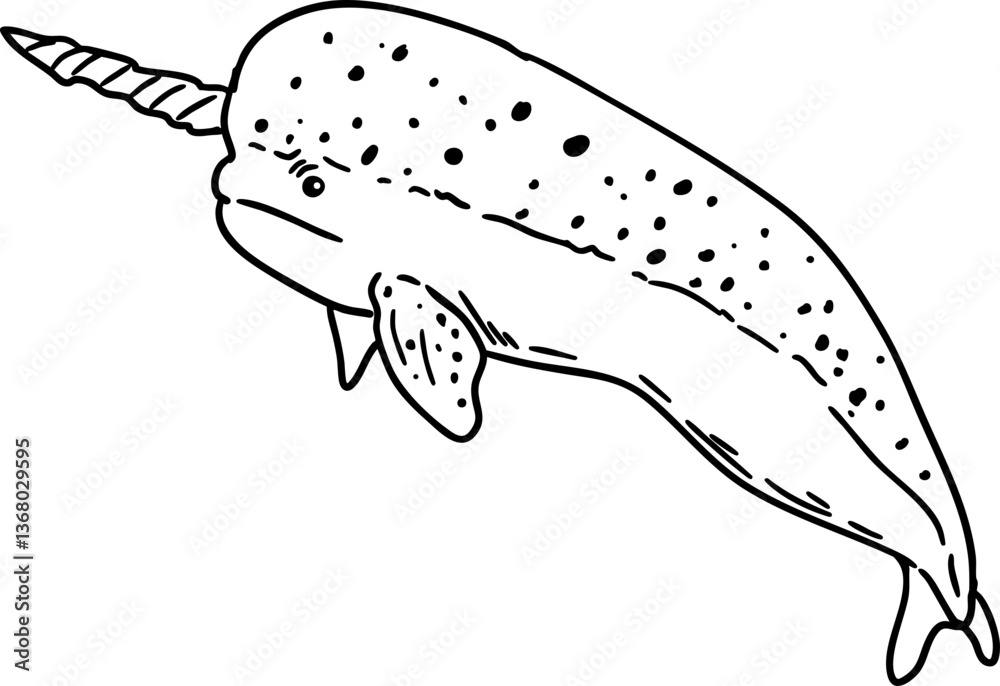 Fototapeta premium sketch narwhal