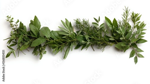 A stunning collection of assorted green herbs and leaves artistically combined to highlight their textures and colors, perfect for culinary styling and décor inspirations.