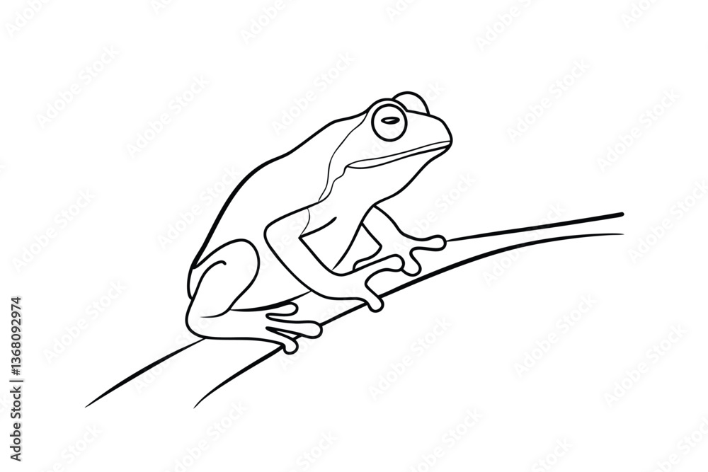Line drawing of a tree frog perched on a branch