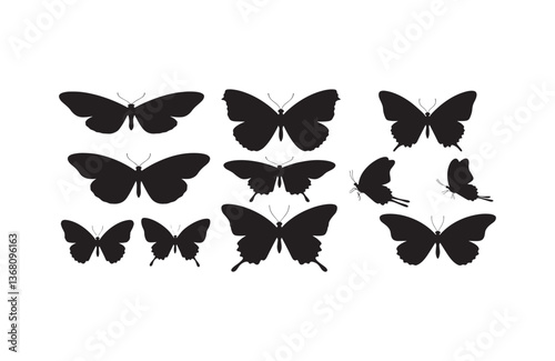 Butterfly Black Art Silhouette Shadow