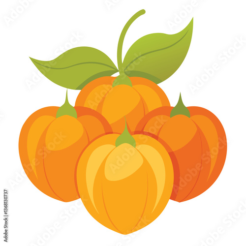 Adobe Illustrator Artwork