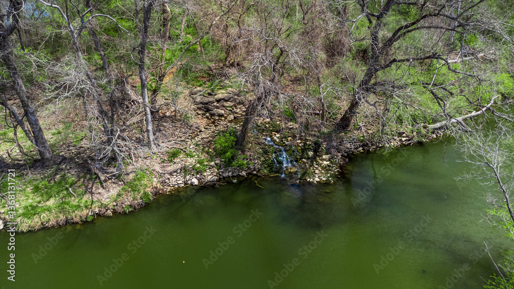 Obraz premium river in the forest