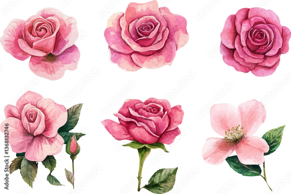 Fototapeta premium set of roses vector illustration
