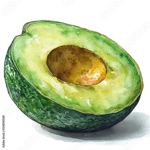 A watercolor of an avocado, isolated on a white background. Avocado vector.


