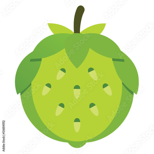 custard apple fruits vector art-illusion 