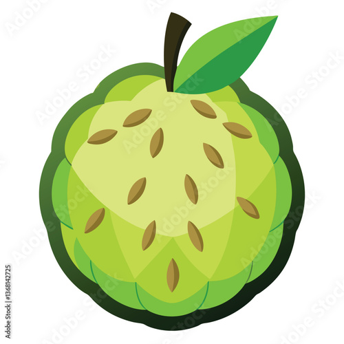custard apple fruits vector art-illusion 