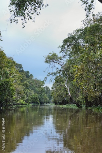 Kinabatangan River nature reserve in Borneo, Malaysia
