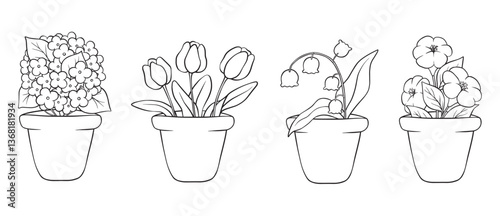 Vector line art flowers in pot, cute vector collection