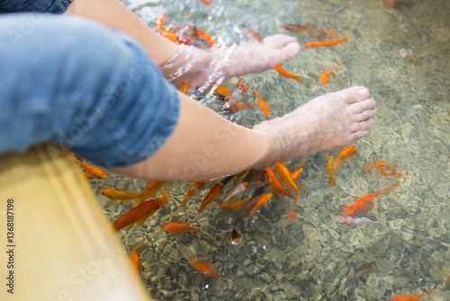 Obraz na płótnie Soothing Fish Foot Bath Spa Treatment at Outdoor Water Pool w salonie