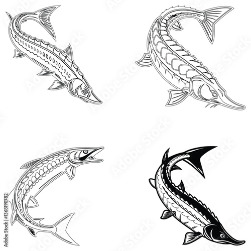 Sturgeon fish bundle line art and illustrator eps