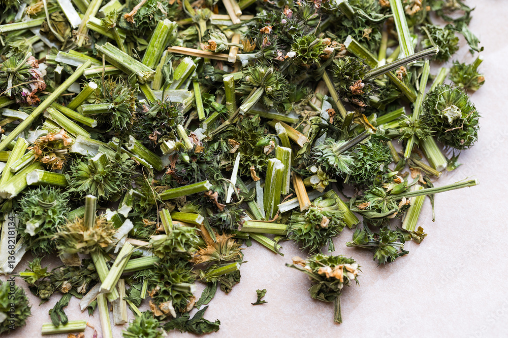 Aromatic dried motherwort herb for herbal remedy