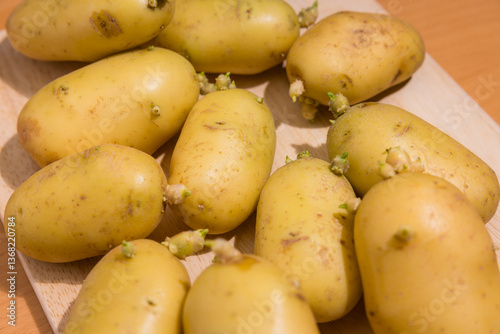 Obraz na płótnie Fresh raw potatoes with new green sprouts w salonie