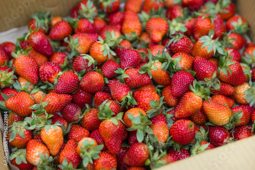 Wallpaper Mural Fresh ripe strawberries in a cardboard box Torontodigital.ca