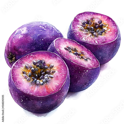 A watercolor of a hala fruit, isolated on a white background. Hala fruit vector.

