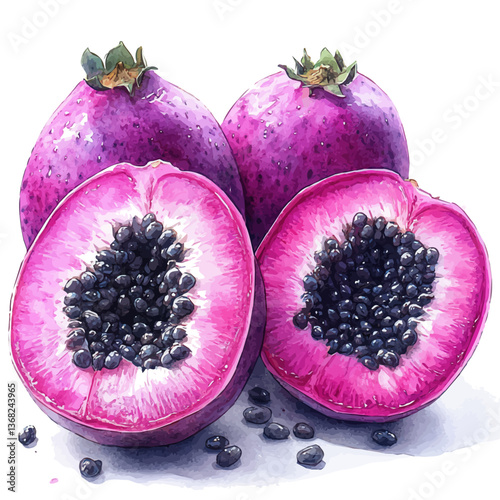 A watercolor of a hala fruit, isolated on a white background. Hala fruit vector.

