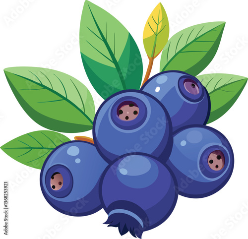 vector illustration of blueberries