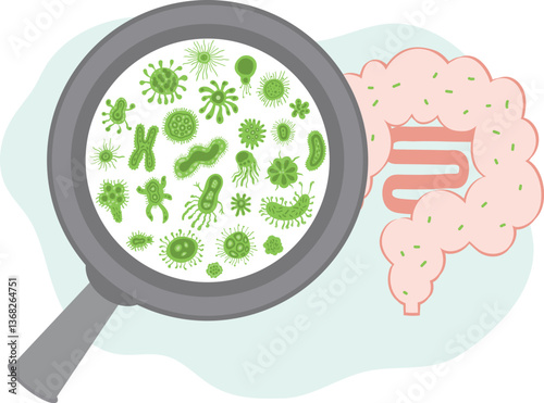 A vector medical illustration showing bacteria in the human gut, with a magnifying glass highlighting microbiota inside the human intestine